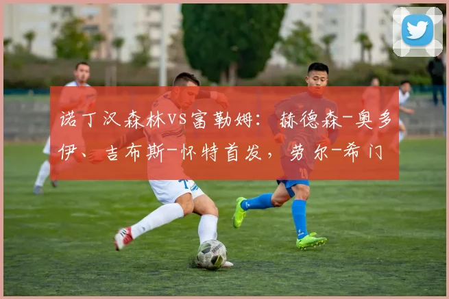 诺丁汉森林vs富勒姆：赫德森-奥多伊、吉布斯-怀特首发，劳尔-希门尼斯、莱诺出战